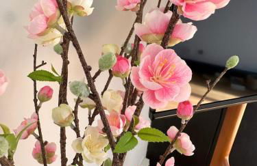 Studio cosy - Le cerisier - Foto 13