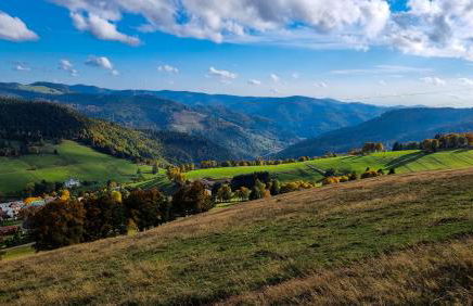 "Schwarzwaldblick" Ferienwohnung 2-4 Pers 65qm, schöne ruhige Südhanglage mit herrl Aussicht - Foto 13