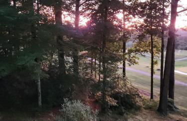 Fairway Gem at Spruce Pine - Foto 31