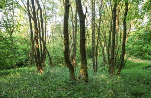 The Barn at Catacol - Foto 31