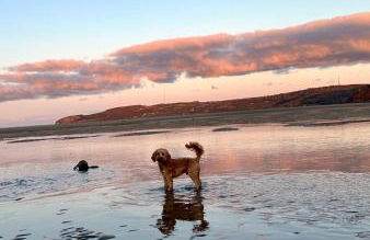 Cosy one bed cottage in Anglesey - Foto 18