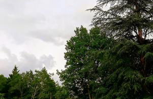 Propriété avec piscine de 2 à 9 personnes, Gîte De Saint Donat, - Foto 40