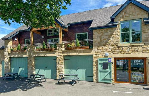 Forest Sherman - Uk50089 - Foto 6