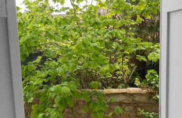 Appartements Pech Mary - Foto 17