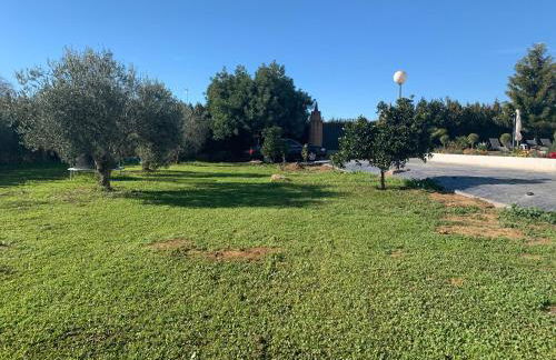 OLE TÚ ANDALUCIA - Foto 49