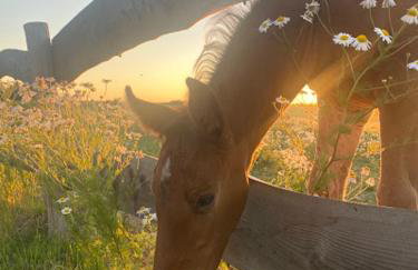 Dom na wyłączność Kruzy36 - Foto 17