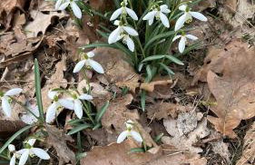 Leśna Residence & SPA - Foto 54