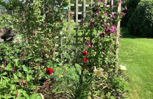 Kennick Barn, peace and quiet guaranteed, Dartmoor - Foto 3