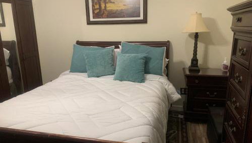 Entire Apartment Suite family singles Couples Nurses dinners business meetings - Photo 4