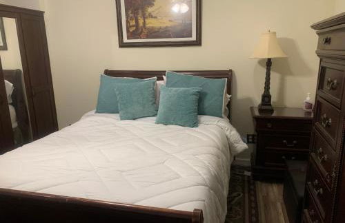 Entire Apartment Suite family singles Couples Nurses dinners business meetings - Foto 4