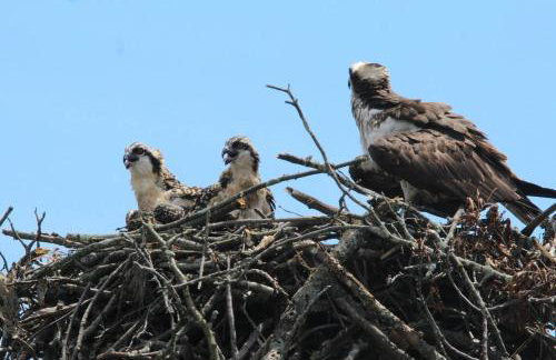 Luxury 5 Star Home with Amazing Water Views - Foto 44