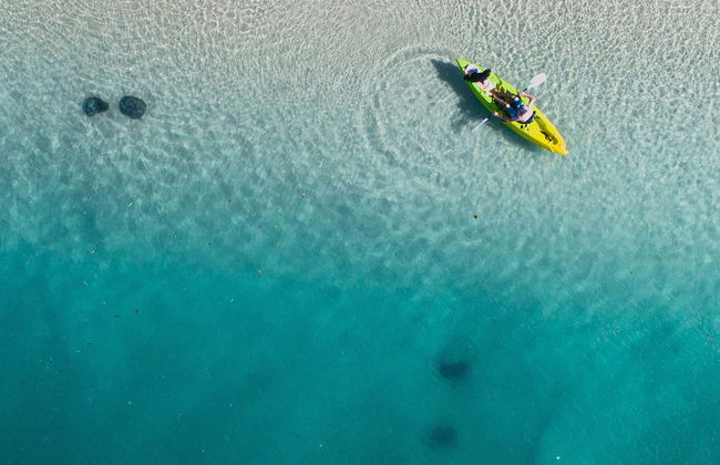 Kayak and Snorkel Dolphin-Watching Tour - Photo 1