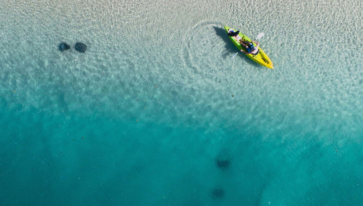 Kayak and Snorkel Dolphin-Watching Tour