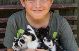 Romantische Ferien auf dem nachhaltig ökologisch sanierten Bauernhof - Foto 11