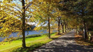 Ferienwohnung an der Elbe - Foto 4