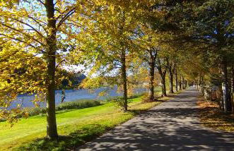 Ferienwohnung an der Elbe - Foto 4