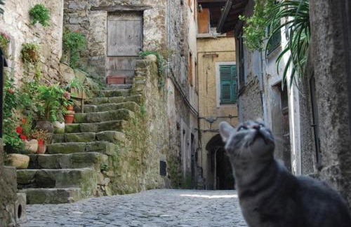 House in the rock - Foto 13