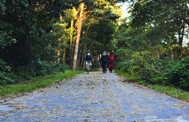 Comfortable Holiday Homes Close to the Beach - Foto 44