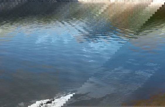 Ecoparco Neule' - Foto 28