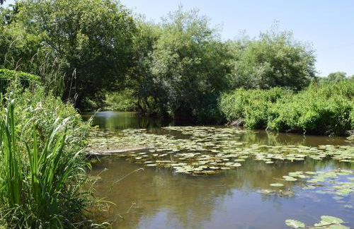 The Coach House - Foto 13