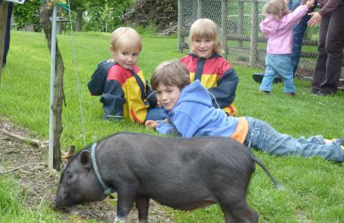 Obst- und Ferienhof Gomeringer - Foto 12