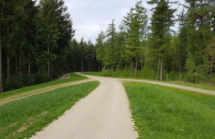 Strandlust II - Foto 56