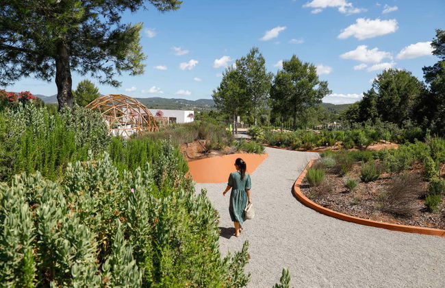 BIBO PARK - Ibiza Botánico Biotecnológico - Foto 2