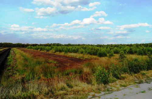 Ferienwohnung Uchte - Photo 55