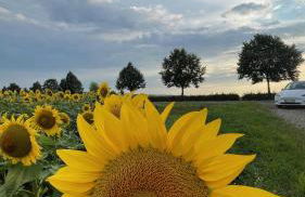 NEU Feinzeit Chalet mit privater Sauna - Foto 53