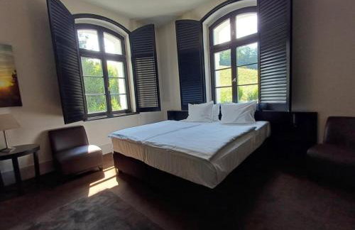 Hotel Pałac Jugowice - Foto 18