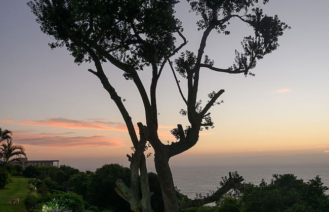 75 Cascades - Foto 39