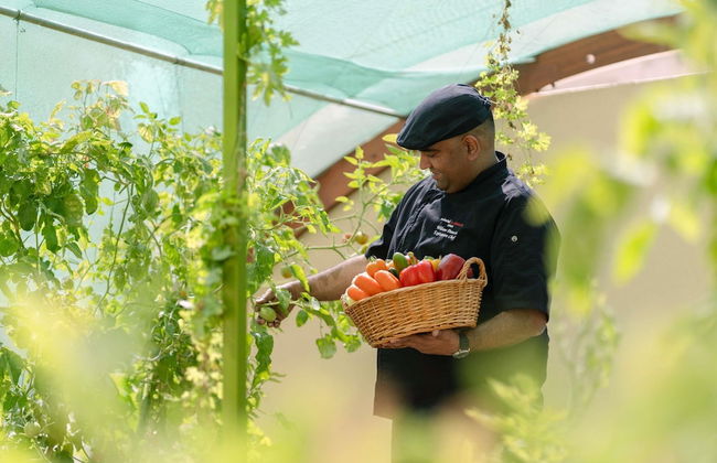 Swissotel Living Al Ghurair - Foto 64