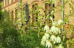 FeWo "Falter" im Kunstgut Krahne - Foto 29