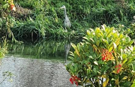 River Cottage - Foto 17