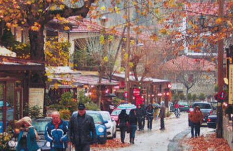 Spring Harmony Trikala Pigi - Foto 32