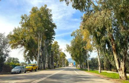 Itea Home - Photo 41