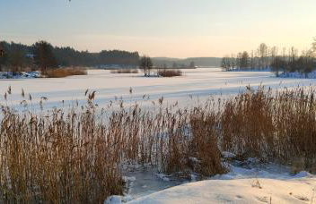 Biały Domek Nielbark - Agroturystyka - Foto 66