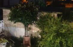 CASE DI BACCO - Foto 24