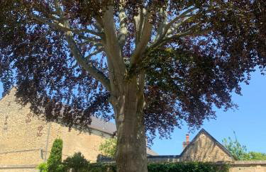 Le Hêtre Pourpre - Foto 22