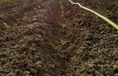 Pier Delle Vigne B&B - Foto 18