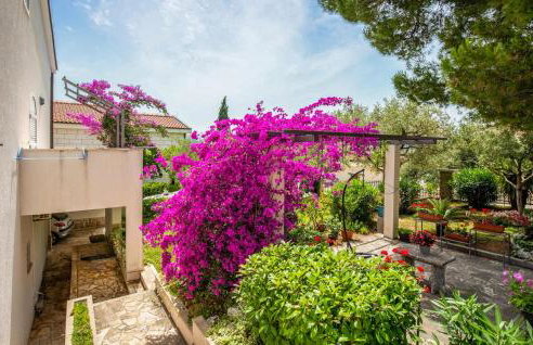 Beautiful Apartment In Klek With Wifi - Photo 15