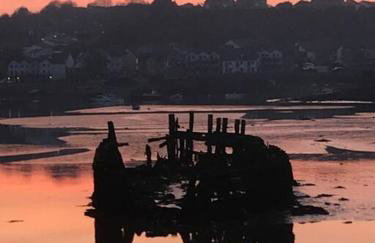 Bumble Bee Cottage - Photo 46