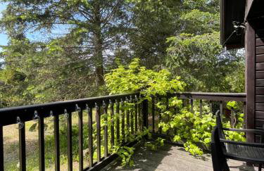 Kaszubski Zakątek Niesiołowice - Foto 5