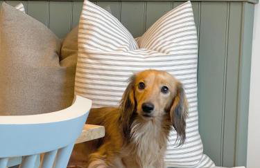 Oak Tree Hideaway - Foto 58