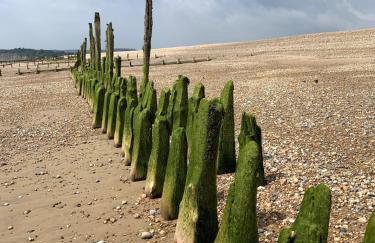 The Cottage, Mermaid Passage - Foto 31