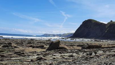 Ondarbaso Apartamentos Rurales II - Foto 4