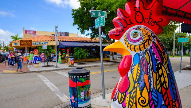 Visita guiada por Little Havana - Foto 2, La calle Ocho