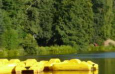 In Saarbrücken Stadtnahe gemütliche Wohnung am Deutsch-Französischen Garten - Foto 35