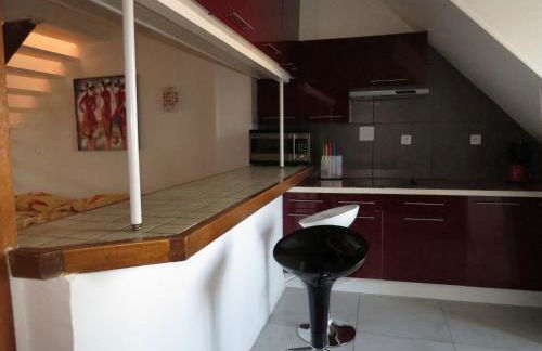 ApartHotel François 1er - 16ème - Foto 7