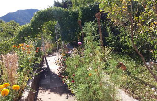 Apartman Matić - Foto 2